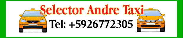 Selector Andre Taxi Ads